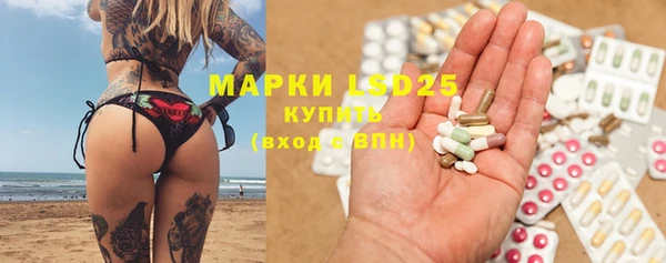 гидра Михайловск