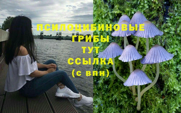 гидра Михайловск