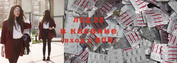гидра Михайловск