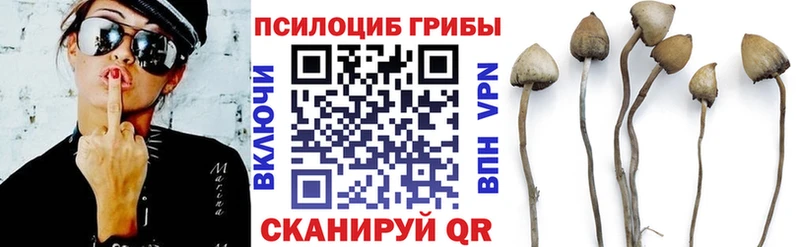 что такое наркотик  Таганрог  Псилоцибиновые грибы Psilocybine cubensis 
